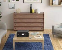 Canon PIXMA TS6220 Wireless All In One Photo Printer with Copier, Scanner and Mobile Printing, Black, Works with Alexa 44 31MoIbcw28L