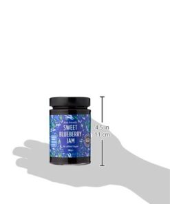 GOOD GOOD No Added Sugar Blueberry Jam - Keto Friendly Jelly - Low Carb, Low-Calorie and Vegan - Diabetic Friendly - 12oz / 330g (Pack of 1) 12 Ounce (Pack of 1) 32 31NCVhpDJyL