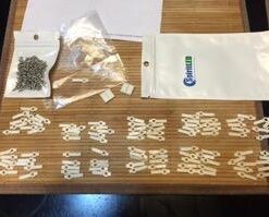 SpiritLED 100 Lots LED Strip Light Mounting Brackets,One Side Fixing Clips,Screws Included (Ideal for Non-Waterproof Strip Width 10mm) Ideal for Non-waterproof Strip Width 10mm 15 31Ok94hIctL