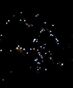 Solar String Lights 200 LED Waterproof 72ft 8 Modes Solar Powered Christmas Fairy String Lights for Outdoor Xmas Patio Path Party Lawn Garden Wedding Party Holiday Decoration (Warm White) 38 31QtIJnlLoL