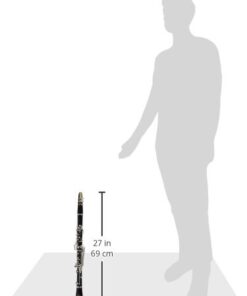 Roy Benson MOD.CB-318 BB Clarinet Boehm System and ABS Body with Case CB-318 15 31RNz7Bmx6L