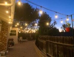 Forney 70452 Wire Rope, Vinyl Coated Aircraft Cable, 250-Feet-by-1/8-Inch thru 3/16-Inch 1/8-Inch - 3/16-Inch 38 31RUUuwX8fL