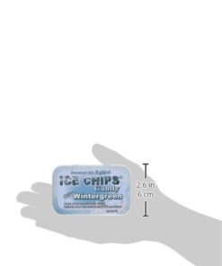 ICE CHIPS Candy Hand Crafted Tin, Wintergreen, 1.76 Ounce 7 31RZWAY3bL