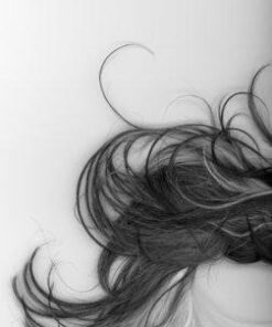 Epson Perfection V600 Color Photo, Image, Film, Negative & Document Scanner V600 - New 38 31Rhkz2XTL 1