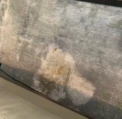 BISSELL Professional Power Shot Oxy Carpet Spot and Stain Remover, 14 ounces, 95C9 50 31VDrd2lAJL