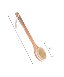 Chikoni Dry Bath Body Brush Back Scrubber with Anti-Slip Long Wooden Handle, 100% Natural Bristles Body Massager, Perfect for Exfoliating, Detox and Cellulite, Blood Circulation, Good for Health 25 31Vy2sFjNxL