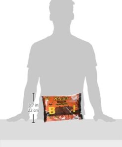 REESE'S Peanut Butter Halloween Pumpkin, Milk Chocolate Covered Peanut Butter Pumpkin Shaped Candy in Halloween Packaging, 19.2 Ounce Bag pumpkins,butter 1.19 Pound (Pack of 1) 13 31eY0ozBDrL