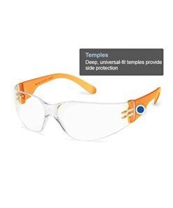 Gateway Safety 4699 StarLite Gumballs Safety Glasses, Clear Lens, 10 Colors Included (Pack of 10) Regular 11 31fMo0fLCYL