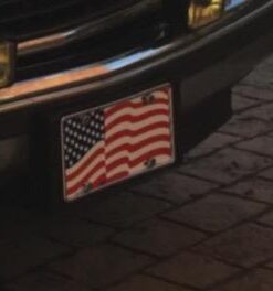 Rust Resistant Stainless Steel License Plate Frame Screws Fasteners + Chrome Screw Caps 19 31iEXvbwEL