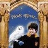 Harry Potter and the Sorcerer's Stone Party Invitations 27 31iXnjEa0PL