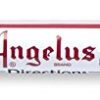 Angelus Empty Paint Marker, 5mm tip (799-5M-IND) 19 31jvGTcEXaL