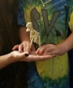 4M KidzLabs Dig A Dino Tyrannosaurus Rex, Paleontology Skeleton Fossil Dinosaur Discovery - STEM Toys Educational Gift for Kids & Teens, Girls & Boys 38 31l8JB2gwwL 3