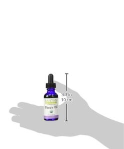 Banyan Botanicals Nasya Oil – Organic Herbal Nasal Drops for Clear Breathing – Ayurvedic Nasal Cleaner and Nose Moisturizer* – One Fluid Ounce – Certified Organic, Non GMO, Chemical Free 16 31lcBBuklbL