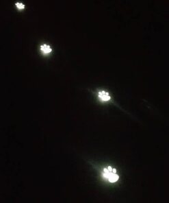 IdeaWorks JB7356 Solar Paw Print Outdoor Lights, Black 40 31oU172sQfL