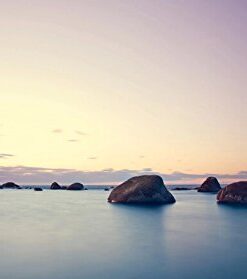 FOTGA Slim Fader Variable ND Filter Adjustable ND2 to ND400 49mm Neutral Density,Suitable for Canon EF 50mm f/1.8 STM Lens Sony FE 50mm F1.8 17 31oXcV3OkmL