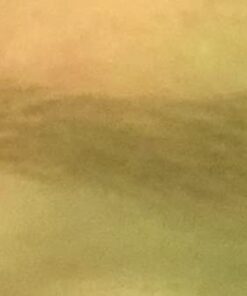 WUNDERBROW Waterproof Eyebrow Gel, Blonde, Vegan and Cruelty-Free 33 31obHLFmSfL