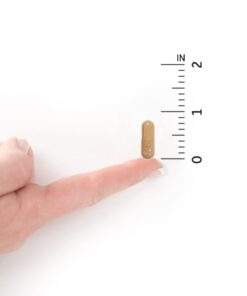 Garden of Life Prenatal Multivitamin for Women with Iron, Folate & Vitamin C and D3 for Neural Development & Probiotics for Immune Support – Vitamin Code – Non-GMO, Gluten-Free, Kosher, 10 Day Supply 30 Count (Pack of 1) 29 31pSkovW66L