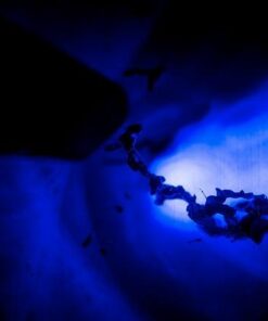 AtmosFlare 3D Pen Set 41 31pvobfK1fL