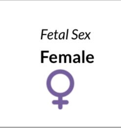 GenderBliss® Gender Prediction Test Kit - Early Pregnancy Boy or Girl Gender Reveal Home Test - Non-invasive Safe for Mother and Baby. Find out your babies gender as early as 10 weeks! 27 31qgGnnwmmL