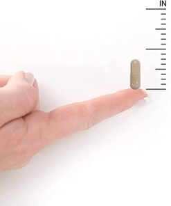 Garden of Life Multivitamin for Women, Vitamin Code Women's Multi, Whole Food Womens Multi, Vitamins, Iron, Folate not Folic Acid & Probiotics for Womens Energy, Vegetarian Supplements, 120 Capsules 120 Count (Pack of 1) 30 31rmOfkSQUS