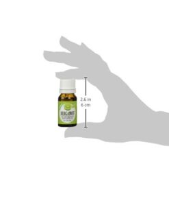 Healing Solutions 10ml Oils - Bergamot Essential Oil - 0.33 Fluid Ounces 0.33 Fl Oz (Pack of 1) 14 31sy39UbDL