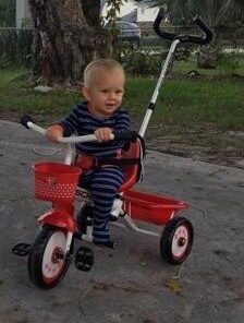 Schwinn Easy Steer Bike for Toddler, Kids Tricycle with Removable Push handle, Steel Trike Frame, Boys and Girls Ages 2-4 Year Old, Red/White, 8" Easy Steer Tricycle 55 31tGBS1CrZL