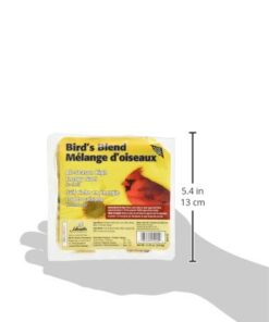 Heath Outdoor Products DD4-12 Heath Bird Suet, Yellow, 11.25 Ounce (Pack of 12) 11.00 Ounce (Pack of 12) 30 31tcY5r3y8L