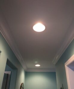 Philips BR30 Indoor Dimmable Flood Light Bulb, 620 Lumen, Soft White Light (2710K), 65-Watt, E26 Base, 12-Pack 12 Count (Pack of 1) 24 31vZ2ziKvfL