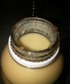 Organic Ginger Juice, 99% Pure Ginger Juice by The Ginger People – Drug Free Digestive Health, Original Flavor, Premium Quality Organic Ginger Juice, 32 Oz Organic-Ginger 32 Fl Oz (Pack of 1) 36 31wJ557O4DL