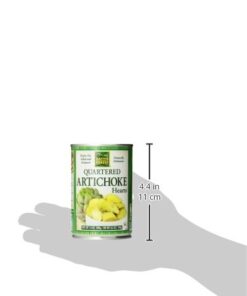 Native Forest Artichoke Hearts Quartered, 14 Ounce Cans (Pack of 6) 14 Ounce (Pack of 6) 18 31xSn0ZLqtL