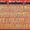 Ace Martial Arts Supply Basic Nunchaku Kata Poster 26 31zw9tyr3VL