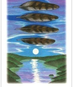 Vision Quest Tarot 34 4100f0HVubL