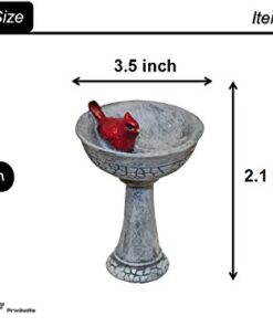 G & F Products MiniGardenn 10027 Fairy Garden Polyresin Miniature, Cardinal Birdbath Pick 19 410DjirTKiL