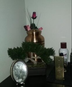 Artificial Japanese Cedar Bonsai Tree 9 inch Tall 22 410O9nNf0vL