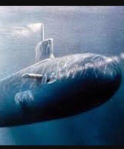 SeaSense Hollow Braid Anchor Line Polypropylene 1/4-Inch X 50-Feet 5 410SKmq7FvL