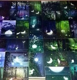 Glow In The Dark Postcards Set of 30 Woodland Animals Forest Deer Postcard Post Card Greeting Cards (Variety Pack) 35 410Sdt74s8L
