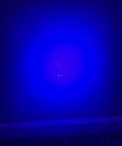 Escolite UV Flashlight Black Light, 51 LED 395 nM Ultraviolet Blacklight Detector for Dog Urine, Pet Stains and Bed Bug 51 UV LED Flashlight 26 411DwKpRE8L