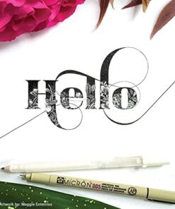 SAKURA Pigma Micron Fineliner Pens - Archival Black Ink Pens - Pens for Writing, Drawing, or Journaling - Black Ink - 005 Point Size - 6 Pack 005 Tip 30 411NY6z07BL