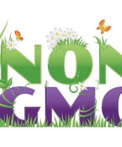 Flower Daisy Shasta Alaska FBA-8723 (White) 200 Non-GMO, Heirloom Seeds 7 411vvmpCHkL 2