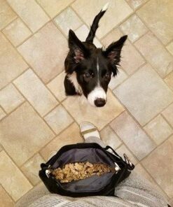 PetSafe Treat Pouch Sport- Durable, Convenient Dog Training Accessory, Standard, Black 39 4121LjgbOUL