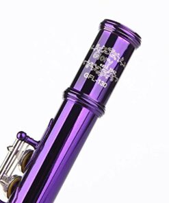 Glory Closed Hole C Flute With Case, Tuning Rod and Cloth,Joint Grease and Gloves Purple 13 4141ytbCdTL