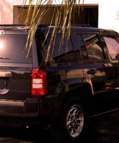 Meguiar's Ultimate Wash and Wax, Car Wash and Car Wax Cleans and Shines in One Step - 48 Oz Container 3.00 Pound (Pack of 1) Ultimate Wash & Wax 37 4143GXQ8DKL 2