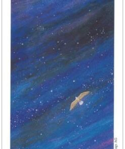 Vision Quest Tarot 37 414zVcsNZ3L