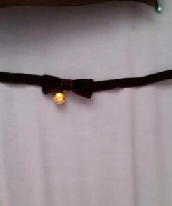 3GARDEN COS Gothic Lolita Bow Bells Velvet Ribbon lace Necklace Choker Necklace 22 415G yPWZwL