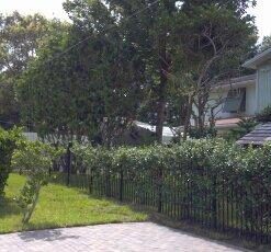 Scotts Turf Builder Starter Fertilizer for New Grass, Use When Planting Seed, 5,000 sq. ft., 15 lbs. Standard 5,000 sq. ft. 47 415gc1JILEL