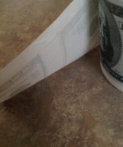 $100 Bill Novelty Toilet Paper $100 Bill 11 415p4OAFAnL
