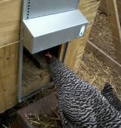 ADOR1 Automatic Chicken Coop Door, Complete with Battery 27 416cwW36HxL
