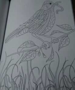 Adult Coloring Books: Whimsical Journey Coloring Books for Adults Relaxation (Flowers, Landscapes and Fairies) 44 417QetzATFL