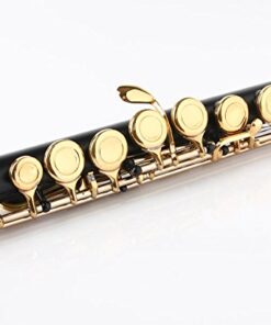 Glory Closed Hole C Flute With Case, Tuning Rod and Cloth,Joint Grease and Gloves black/Laquer Black/Gold 15 418eU3z0hKL