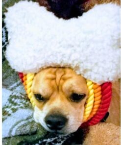 Rachael Ray Nutrish Limited Ingredient Lamb Meal & Brown Rice Recipe, Dry Dog Food, 14 Pound Bag (Packaging Design May Vary) Dry Food 14.00 Pound (Pack of 1) 40 418fr0QsrRL